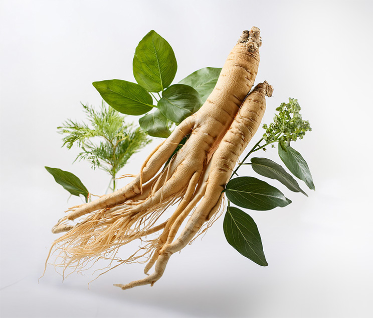 RAIN VIGOR 500 mg